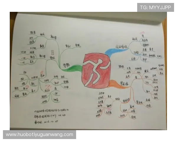 乐动体育app官网用户评价与使用技巧，提升你的体育竞猜与娱乐体验