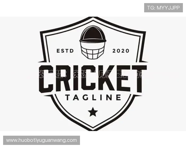 K8体育网页版登录遇到问题怎么办？全面解决方案与操作技巧分享